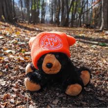 Stuffed animal bear wearing an orange knit hat. Photo by Heather Darley.