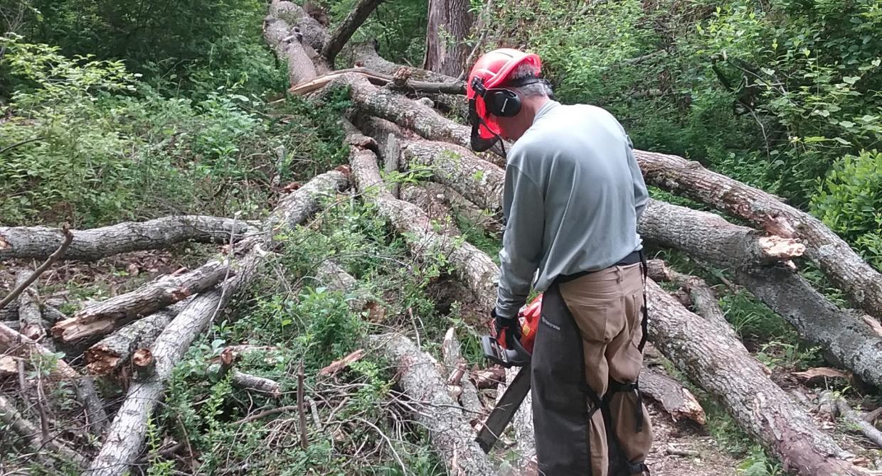 Sawyer Alec Maylon clearing blowdowns on Ramapo Reservation's Marsh Trail. Photo by Chris Connolly