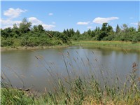 Pond on Yellow Perimeter Trail